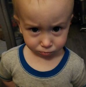 Meet your Posher, Beau